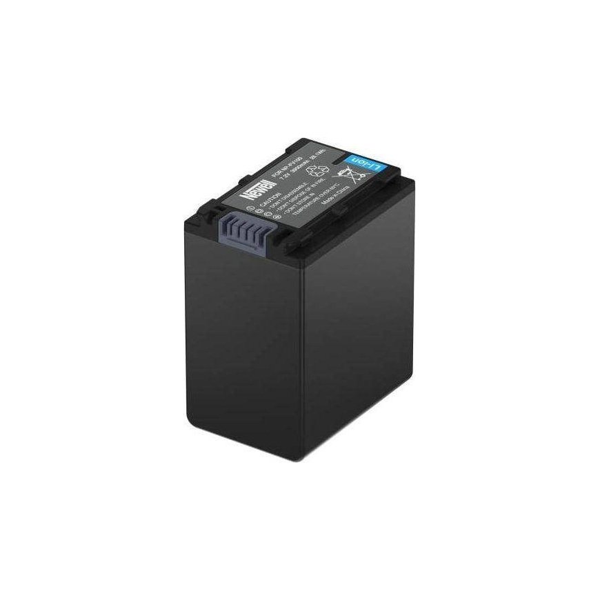 Newell NP-FV100A