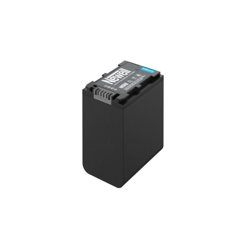 Newell NP-FV100A – 3
