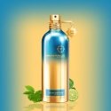 Montale Paris Montale Blue Matcha