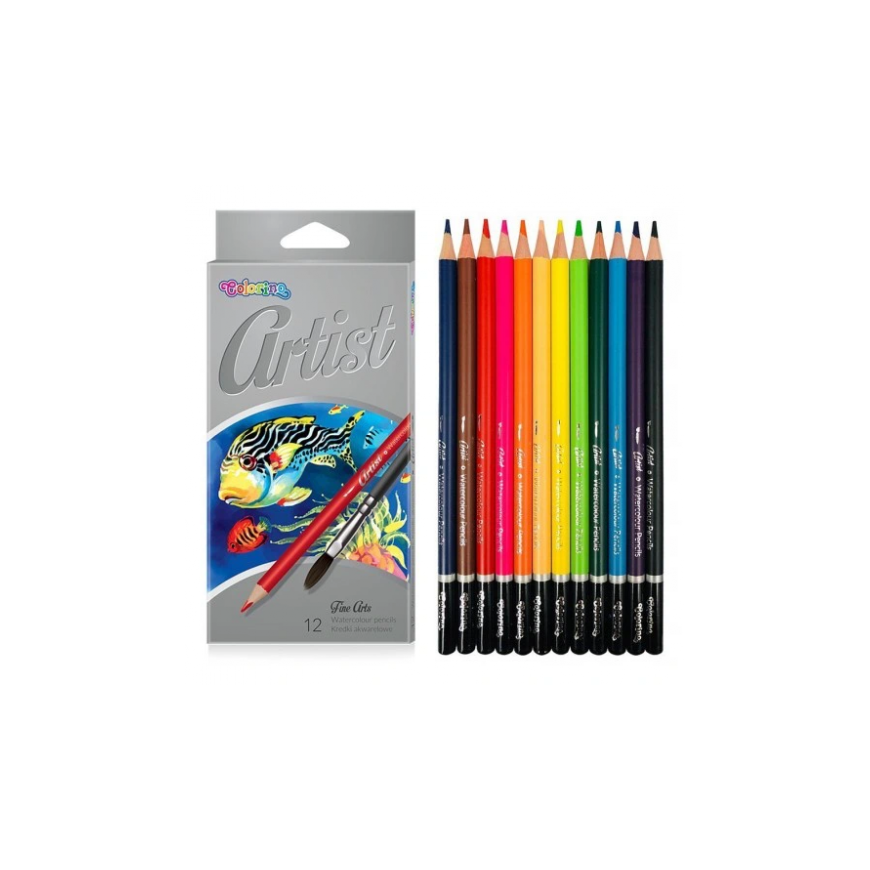 Colorino Artist Watercolour pencils 12 colours