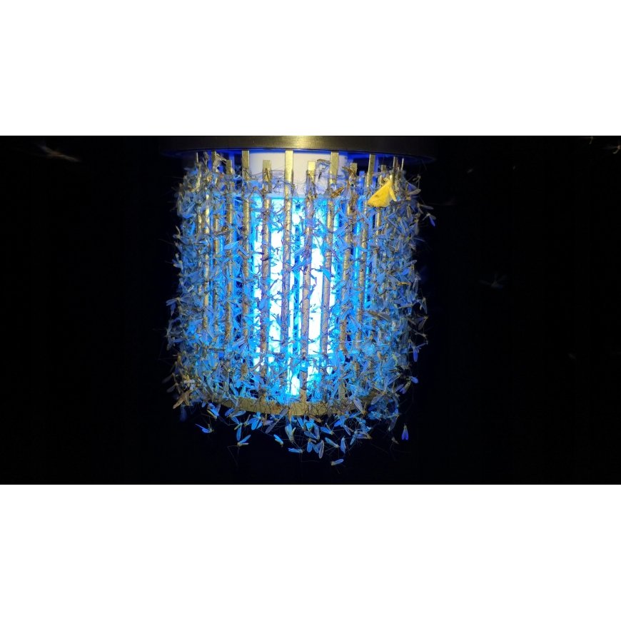 Noveen insect killing lamp IKN6 Lampion 50m2 6W