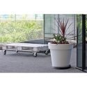 Prosperplast Pot stand on wheels 30 cm Prosperplast Pot stand on wheels 30 cm