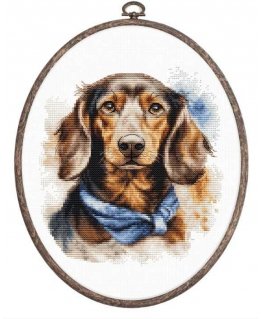 luca S Counted Cross Stitch Kit with Hoop Included "Dachshund" 16x17cm SBC222