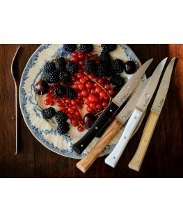 Opinel Table Knives Facette Set of 4 Mix