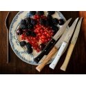 Opinel Table Knives Facette Set of 4 Mix Opinel Table Knives Facette Set of 4 Mix
