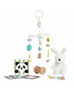 Tooky Toys CLASSIC WORLD Pastelinis Rinkinys dla Niemowląt Box Pierwsze Žaislai od 0 do 6 miesiąca
