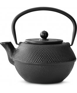 Bredemeijer Teapot Jang 1,1l cast iron black + Filter G002Z