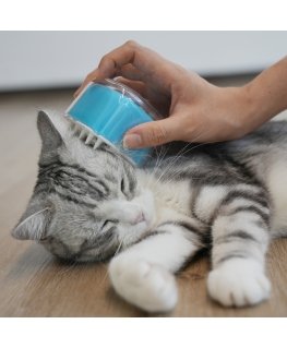 Cheerble Pet Brush