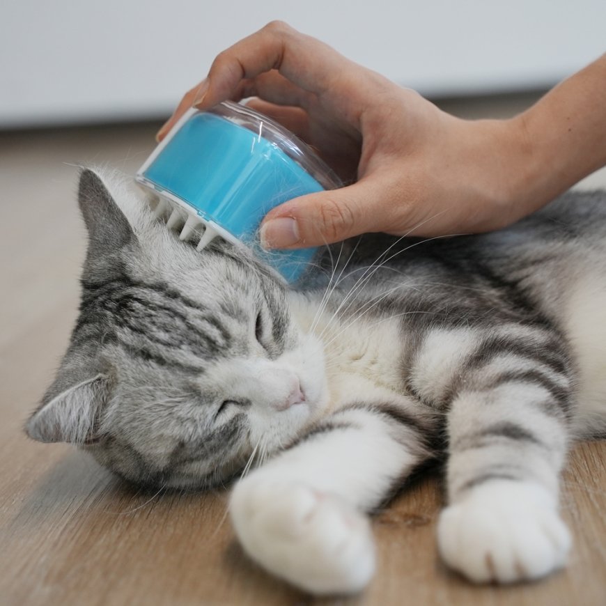 Cheerble Pet Brush