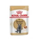 Royal Canin British Shorthair Adult 85 g