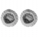 Mamibot W110-T Grey Pads Mamibot W110-T Grey Pads