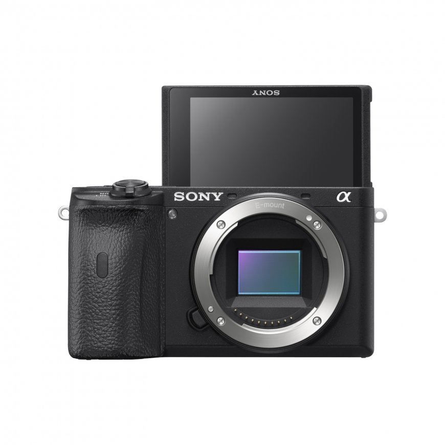 Sony α ILCE6600B – 2