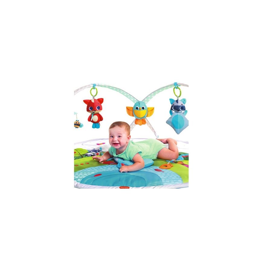 Tiny Love Gymini Dynamic Meadow Days Multicolour Baby gym – 3