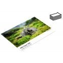 Fomei 10x15|20 PRO Pearl 265g|m2 photo paper Fomei 10x15|20 PRO Pearl 265g|m2 photo paper
