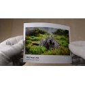Fomei 10x15|20 PRO Pearl 265g|m2 photo paper Fomei 10x15|20 PRO Pearl 265g|m2 photo paper