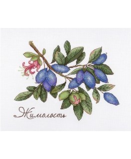 Beldizart Sausmedis SNV-648
