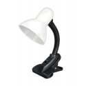 Table lamp Esperanza ELD106W Esperanza lampka birkowa e27 procyon white Table lamp Esperanza ELD106W Esperanza lampka birkowa e27 procyon white
