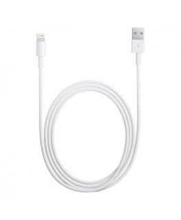 MD818 iPhone 5 Lightning Data Cable White (OOB Bulk)