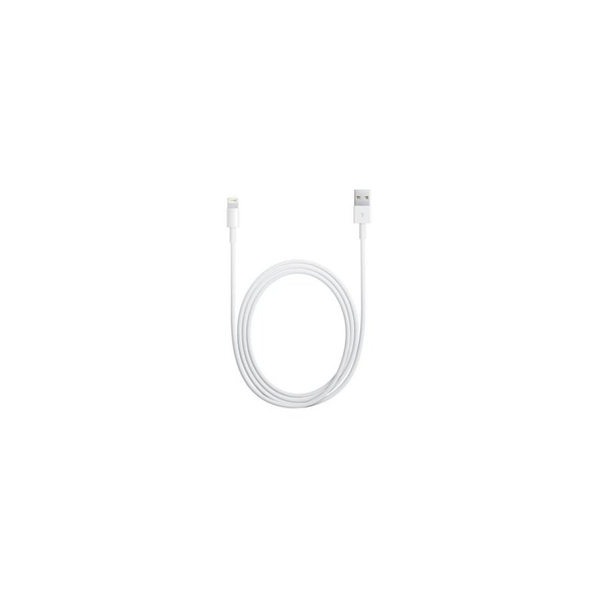 MD818 iPhone 5 Lightning Data Cable White (OOB Bulk)