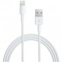 MD818 iPhone 5 Lightning Data Cable White (OOB Bulk) MD818 iPhone 5 Lightning Data Cable White (OOB Bulk)
