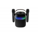 ProCaster Upbeat karaoke speaker with two microphones ProCaster Upbeat karaoke speaker with two microphones