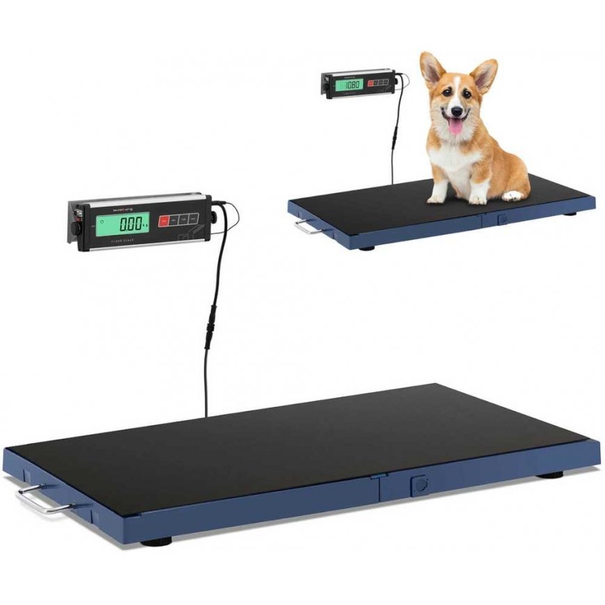 Steinberg Systems Kitchen scale Steinberg Systems