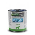 Farmina Pet Food Vet Life Renal Pieaudzis suns 300 g Farmina Pet Food Vet Life Renal Pieaudzis suns 300 g