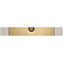 Devialet Dione