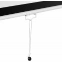 Frommstarck Projector screen semi-automatic wall ceiling matte white 150'' 340x210 cm 16:9 Frommstarck Projector screen semi-automatic wall ceiling matte white 150'' 340x210 cm 16:9