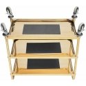Royal Catering Catering trolley 3 shelves 89.5 x 49.5 cm up to 240 kg - gold Royal Catering Catering trolley 3 shelves 89.5 x 49.5 cm up to 240 kg - gold