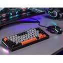 Mechanical keyboard Tracer GAMEZONE EVO3 HOT SWAP 63 (Grey) Mechanical keyboard Tracer GAMEZONE EVO3 HOT SWAP 63 (Grey)