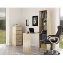 Topeshop R50 SON Z BIURKIEM arvutilaud Tammetoon