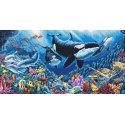luca S Povandeninis baletas 50x26 cm SLETIL8073 luca S Povandeninis baletas 50x26 cm SLETIL8073