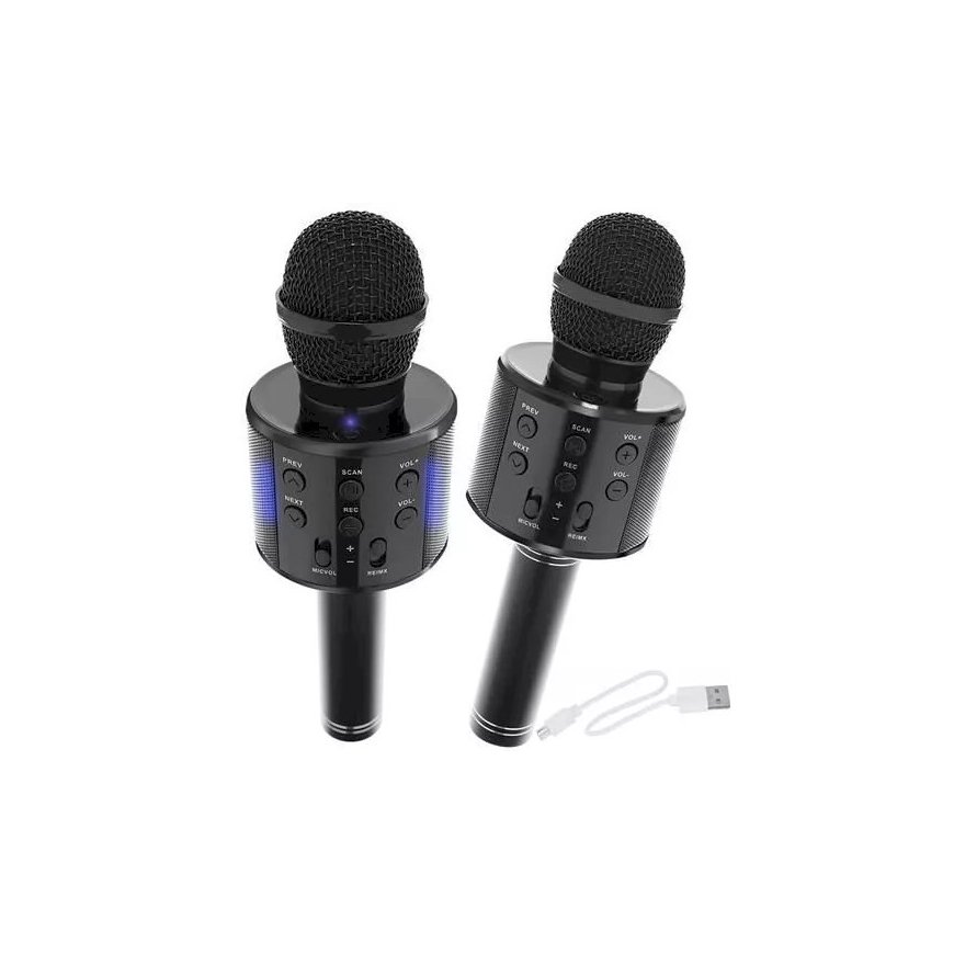 Goodbuy karaoke microphone with built in speaker bluetooth | 3W