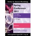 Fusion Softy protect silicone case for Samsung A145 | A146 Galax