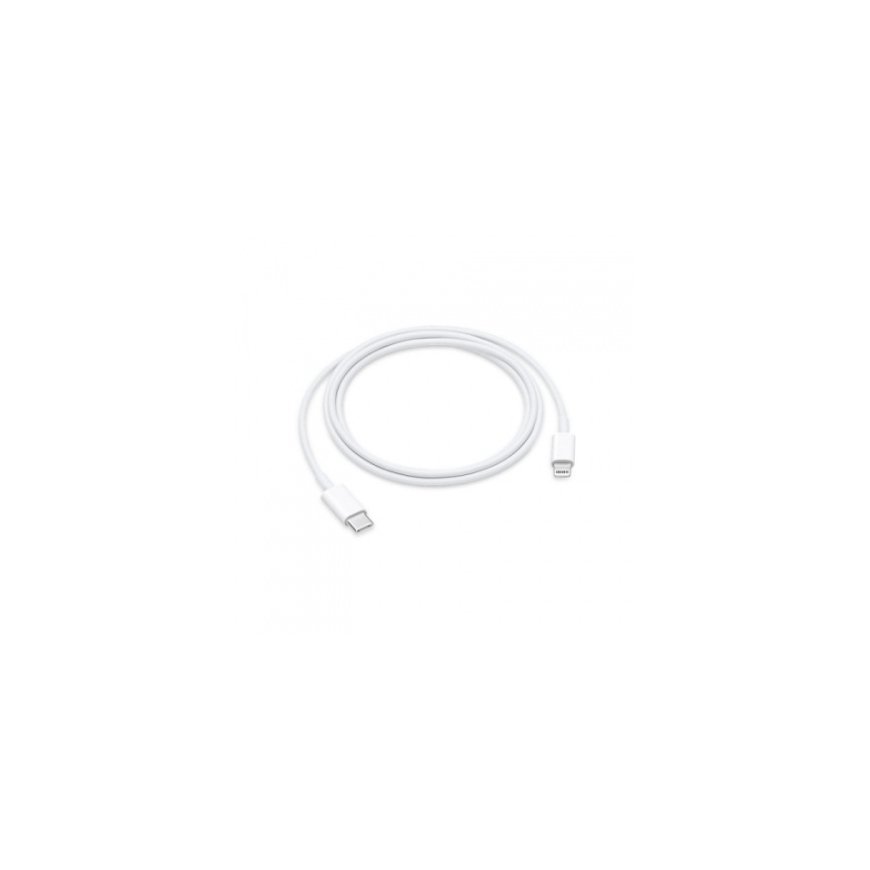 iPhone Data Cable Lightning|Type C White OEM (Bulk) – 2