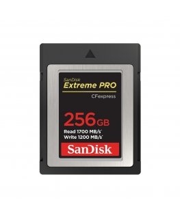 SanDisk SDCFE-256G-GN4NN zibatmiņa 256 GB CFexpress