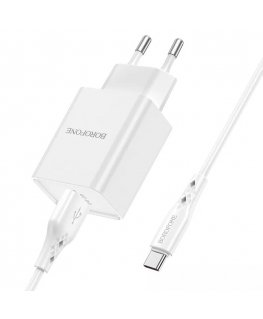 Borofone BN2 phone charger USB | 5V | 2.1A | 10.5W + USB-C cable