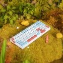 VGN V98Pro V2 Gaming Keyboard, Box Autumn - Maple Sugar Limited Edition (US) VGN V98Pro V2 Gaming Keyboard, Box Autumn - Maple Sugar Limited Edition (US)