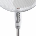 Esperanza EHF001WW household fan White