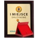 Tryumf Plastikinis diplomas su spalvotu jutikliniu laminatu ir dėklu Tryumf Plastikinis diplomas su spalvotu jutikliniu laminatu ir dėklu