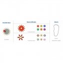Colorful gears Masterkidz STEM Colorful gears Masterkidz STEM