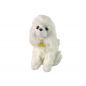 Lean Sport Lean Interactive Plush Dog Soft Coated Poodle Pet its head and learn its functions Lean Sport Lean Interactive Plush Dog Soft Coated Poodle Pet its head and learn its functions