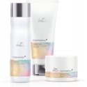 Wella Professionals ColorMotion+