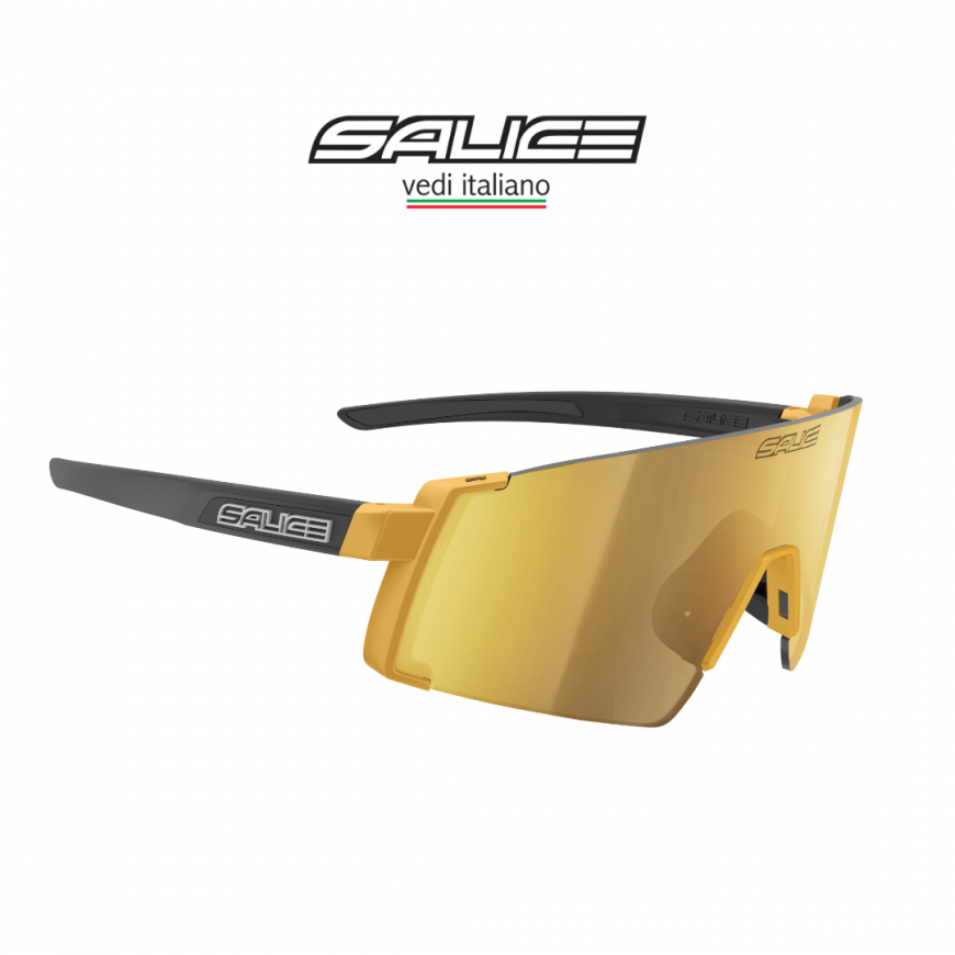 Salice 027 Gold RW Gold sunglasses