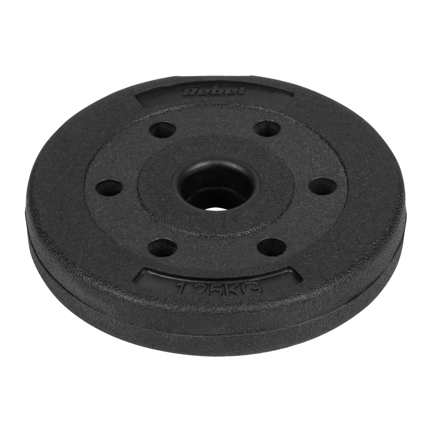 Set of bituminous loads 4x1.25kg, hole 31mm, REBEL ACTIVE – 4
