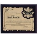 Tryumf Plastic diploma with engraved laminate