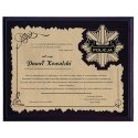Tryumf Plastikinis diplomas su graviruotu laminatu Tryumf Plastikinis diplomas su graviruotu laminatu
