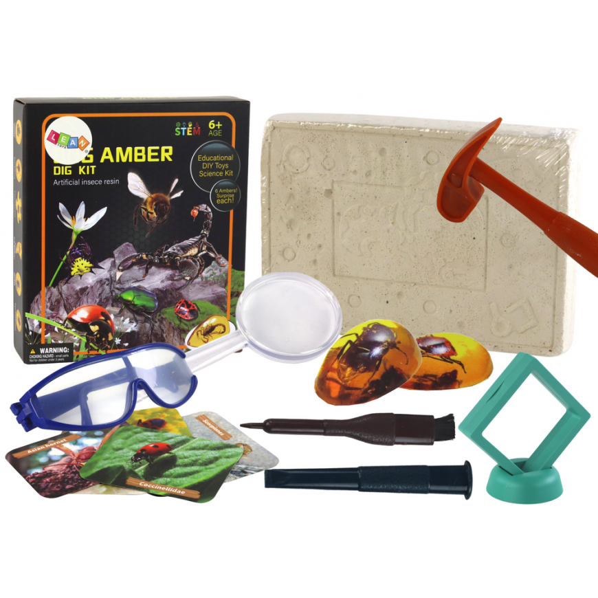 Lean Archaeological Excavation Collection Insects in