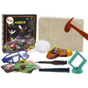 Lean Archaeological Excavation Collection Insects in amber Lean Archaeological Excavation Collection Insects in amber